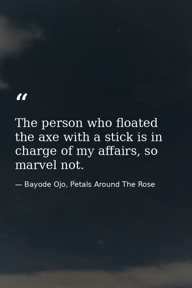 The person who floated the axe with a stick is in charge of my affairs, so marvel not. — Bayode Ojo, Petals Around The Rose