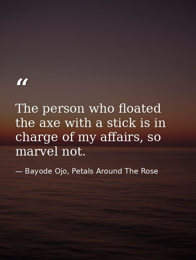 The person who floated the axe with a stick is in charge of my affairs, so marvel not. — Bayode Ojo, Petals Around The Rose