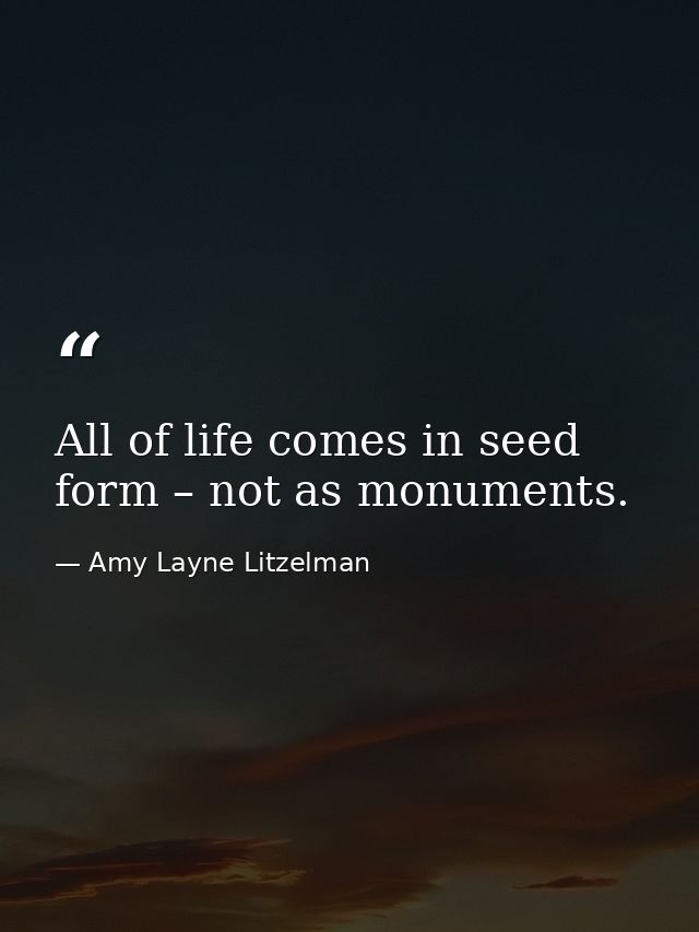 All of life comes in seed form – not as monuments. — Amy Layne Litzelman