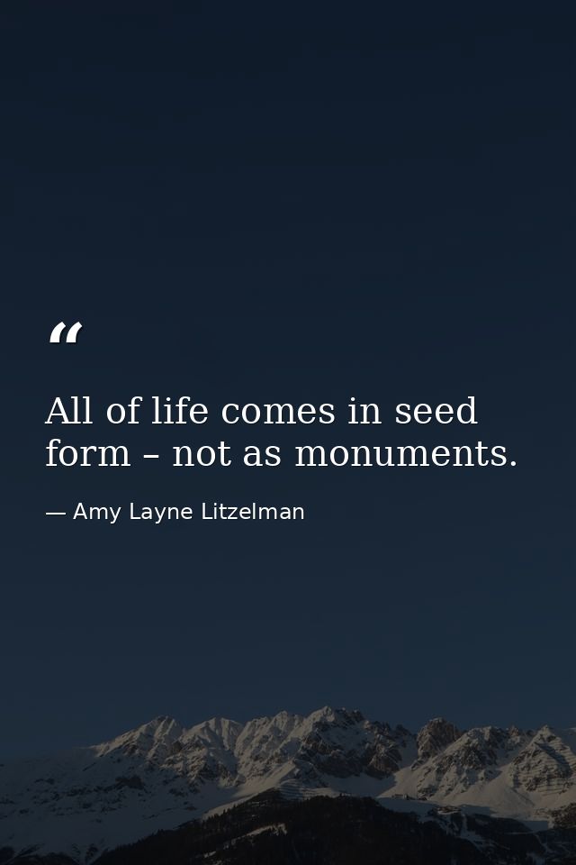 All of life comes in seed form – not as monuments. — Amy Layne Litzelman