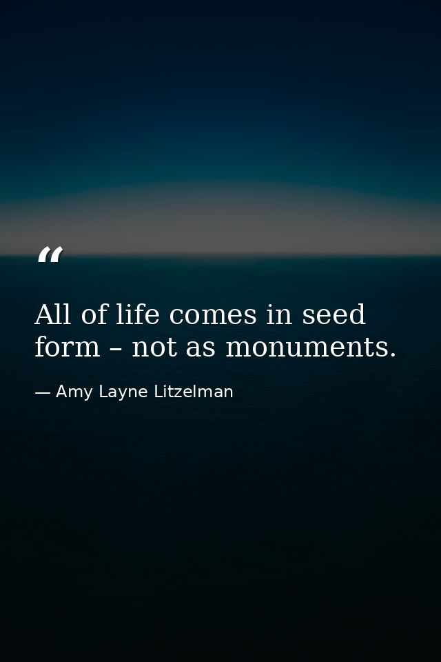All of life comes in seed form – not as monuments. — Amy Layne Litzelman