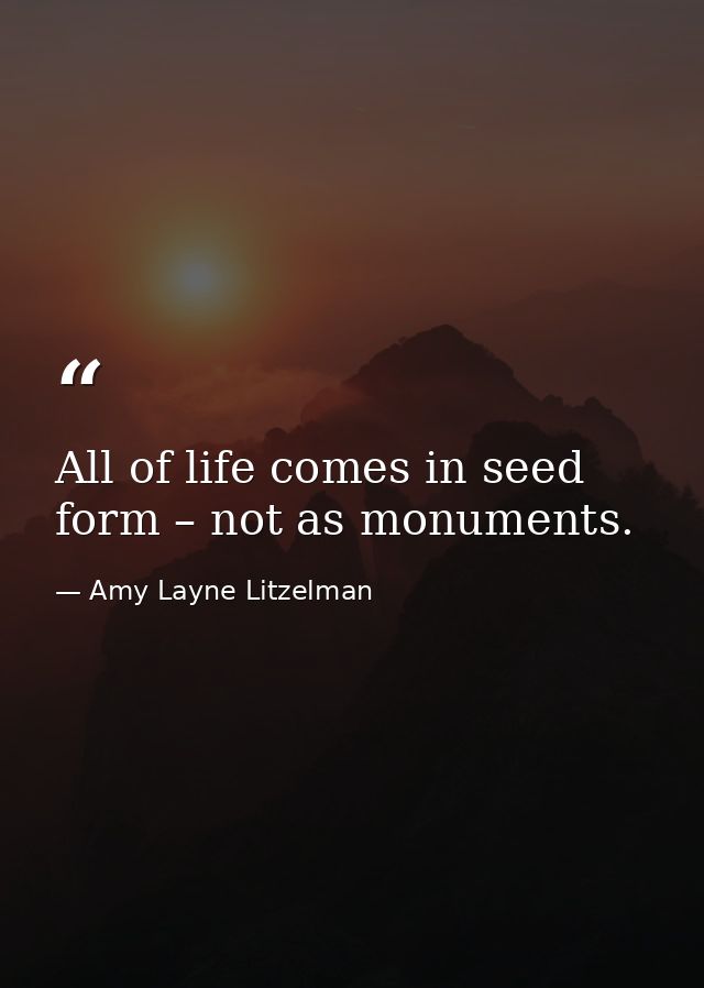 All of life comes in seed form – not as monuments. — Amy Layne Litzelman