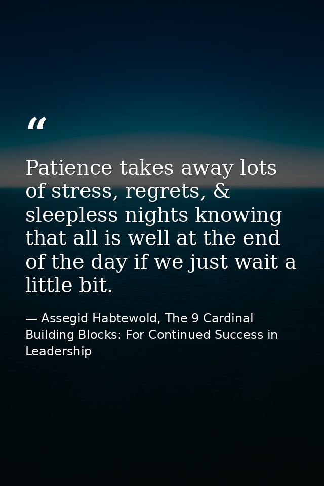 Patience takes away lots of stress, regrets, & sleepless nights knowing that all is well at the end of the day if we jus — Assegid Habtewold, The 9 Cardinal Building Blocks: For Continued Success in Leadership