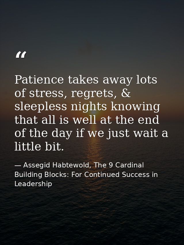 Patience takes away lots of stress, regrets, & sleepless nights knowing that all is well at the end of the day if we jus — Assegid Habtewold, The 9 Cardinal Building Blocks: For Continued Success in Leadership