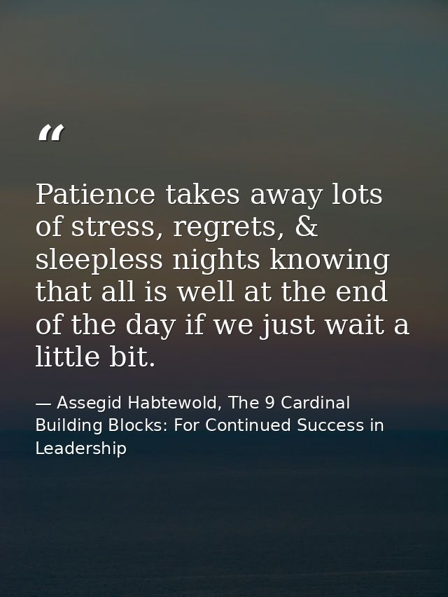 Patience takes away lots of stress, regrets, & sleepless nights knowing that all is well at the end of the day if we jus — Assegid Habtewold, The 9 Cardinal Building Blocks: For Continued Success in Leadership
