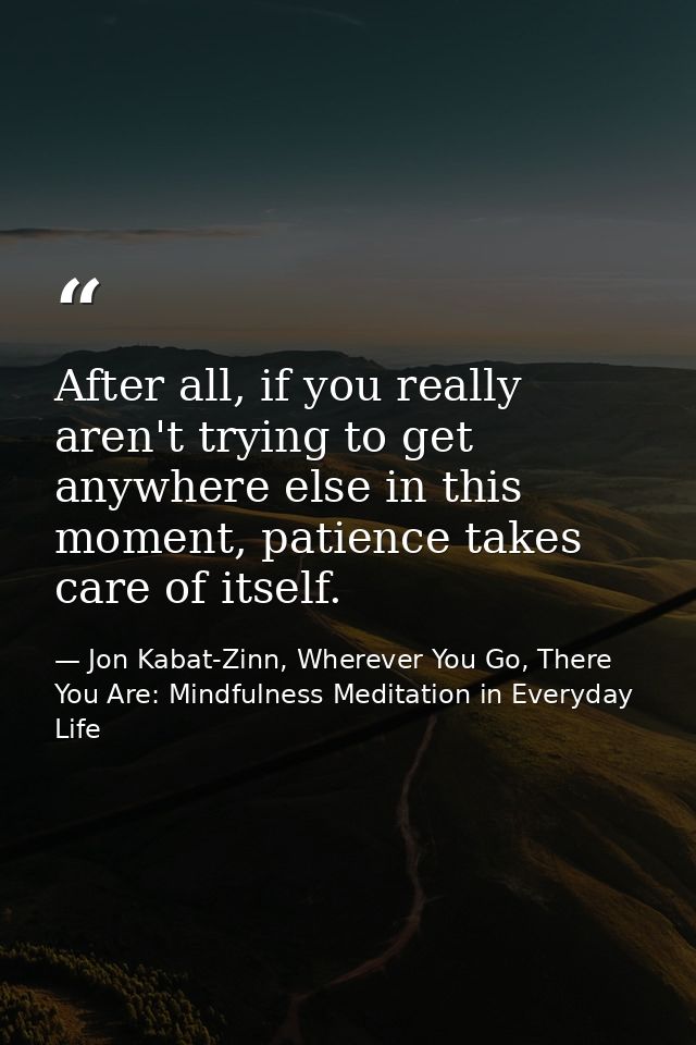 After all, if you really aren't trying to get anywhere else in this moment, patience takes care of itself. — Jon Kabat-Zinn, Wherever You Go, There You Are: Mindfulness Meditation in Everyday Life
