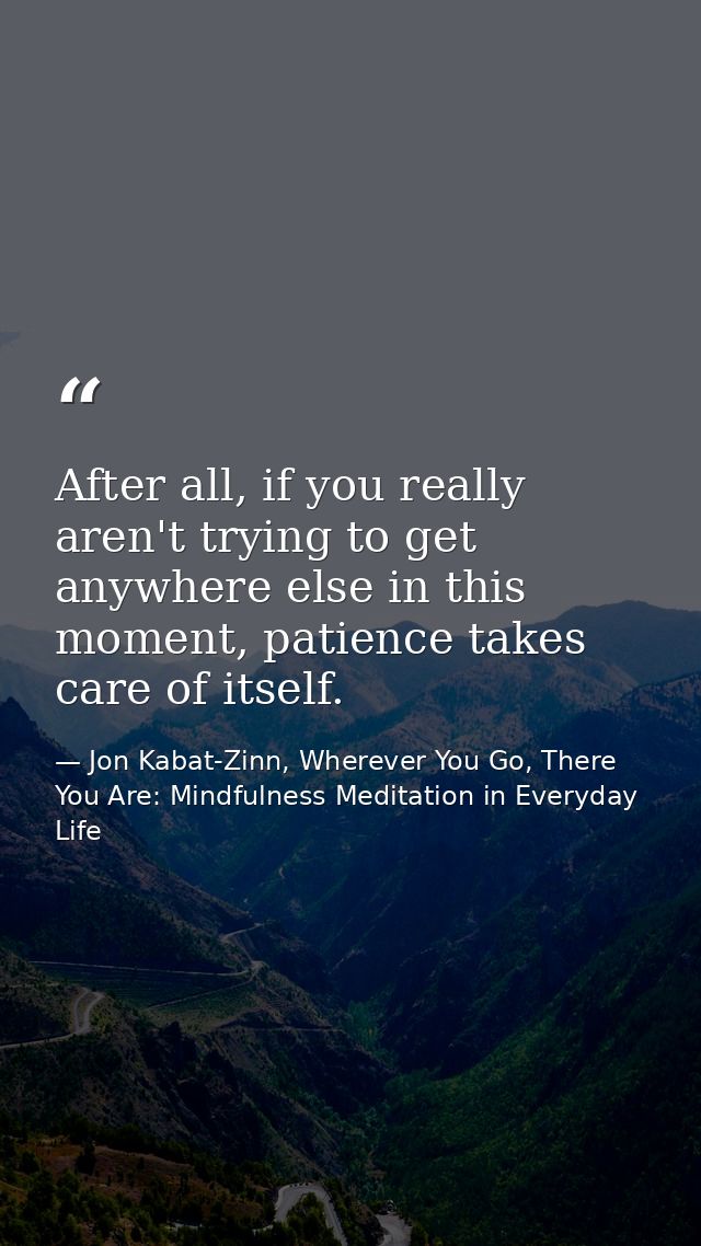 After all, if you really aren't trying to get anywhere else in this moment, patience takes care of itself. — Jon Kabat-Zinn, Wherever You Go, There You Are: Mindfulness Meditation in Everyday Life