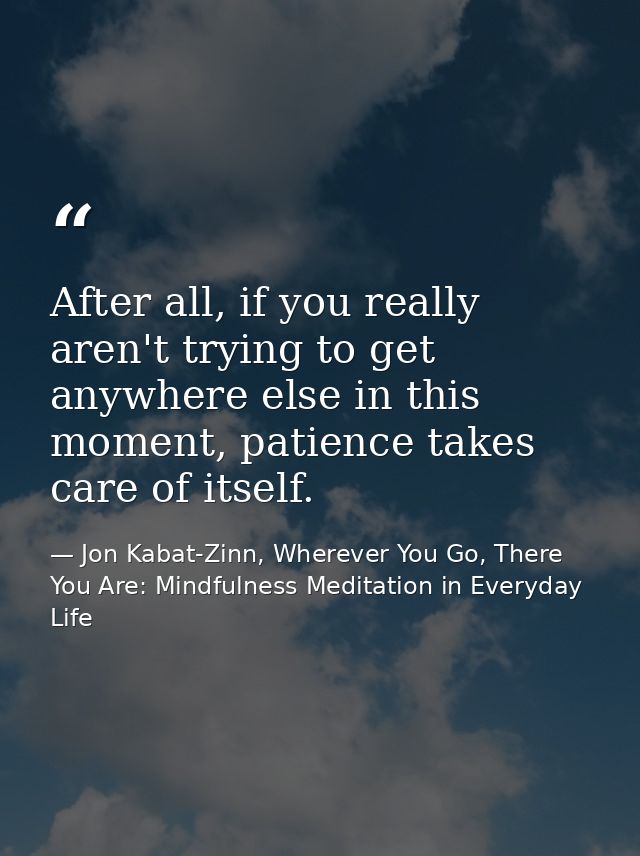 After all, if you really aren't trying to get anywhere else in this moment, patience takes care of itself. — Jon Kabat-Zinn, Wherever You Go, There You Are: Mindfulness Meditation in Everyday Life