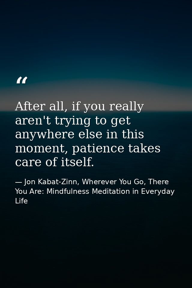 After all, if you really aren't trying to get anywhere else in this moment, patience takes care of itself. — Jon Kabat-Zinn, Wherever You Go, There You Are: Mindfulness Meditation in Everyday Life