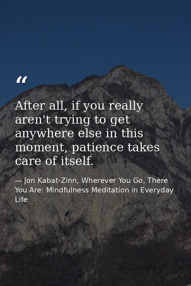After all, if you really aren't trying to get anywhere else in this moment, patience takes care of itself. — Jon Kabat-Zinn, Wherever You Go, There You Are: Mindfulness Meditation in Everyday Life