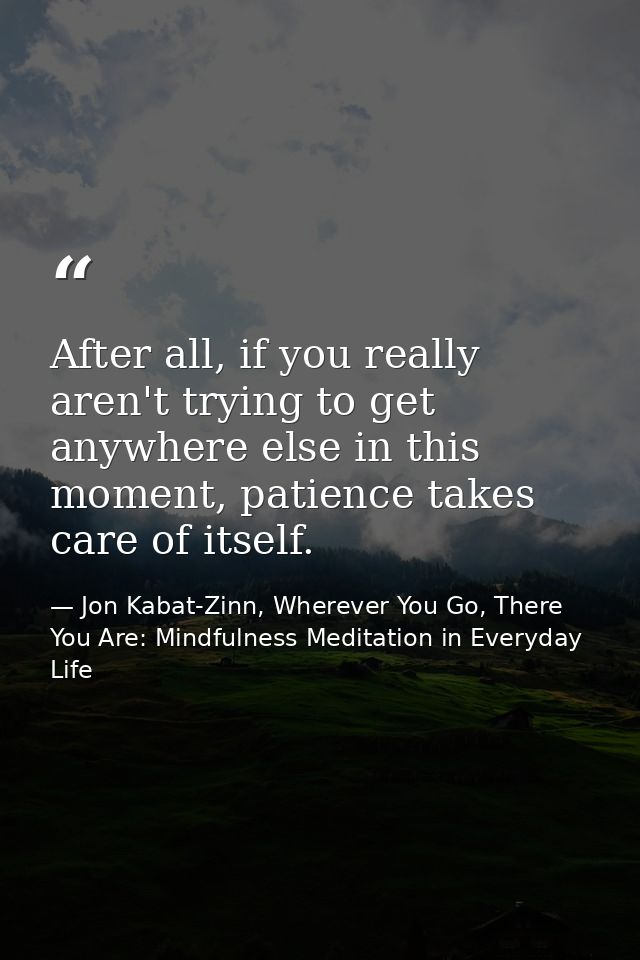 After all, if you really aren't trying to get anywhere else in this moment, patience takes care of itself. — Jon Kabat-Zinn, Wherever You Go, There You Are: Mindfulness Meditation in Everyday Life