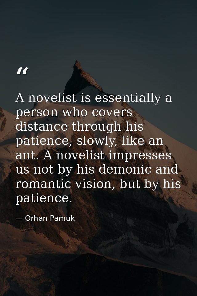 A novelist is essentially a person who covers distance through his patience, slowly, like an ant. A novelist impresses u — Orhan Pamuk