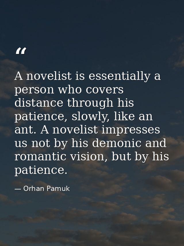 A novelist is essentially a person who covers distance through his patience, slowly, like an ant. A novelist impresses u — Orhan Pamuk