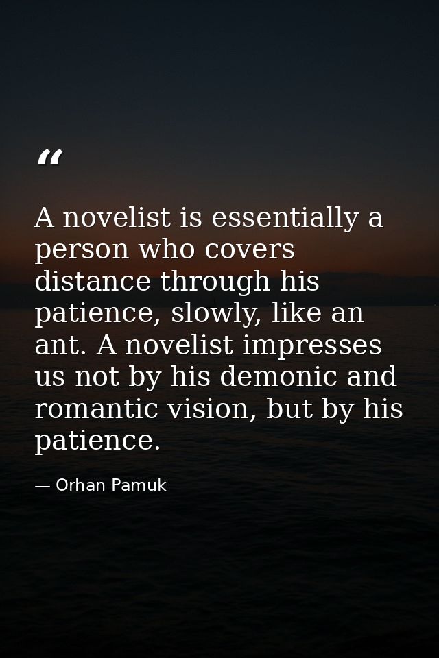A novelist is essentially a person who covers distance through his patience, slowly, like an ant. A novelist impresses u — Orhan Pamuk