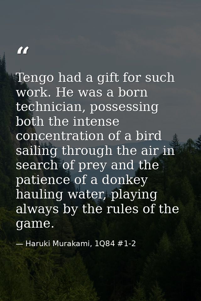 Tengo had a gift for such work. He was a born technician, possessing both the intense concentration of a bird sailing th — Haruki Murakami, 1Q84 #1-2