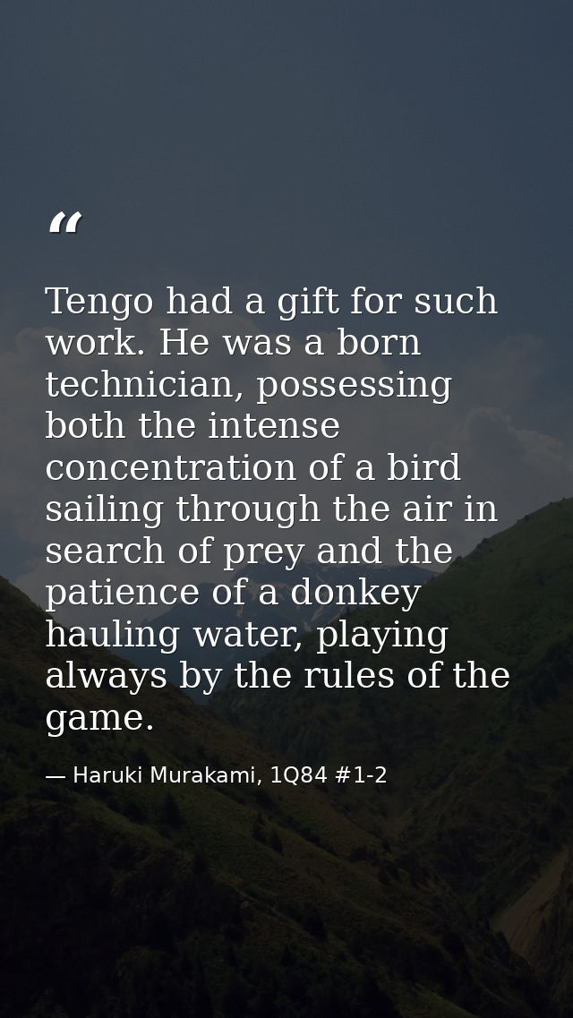 Tengo had a gift for such work. He was a born technician, possessing both the intense concentration of a bird sailing th — Haruki Murakami, 1Q84 #1-2