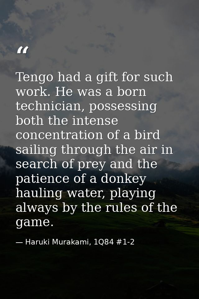 Tengo had a gift for such work. He was a born technician, possessing both the intense concentration of a bird sailing th — Haruki Murakami, 1Q84 #1-2