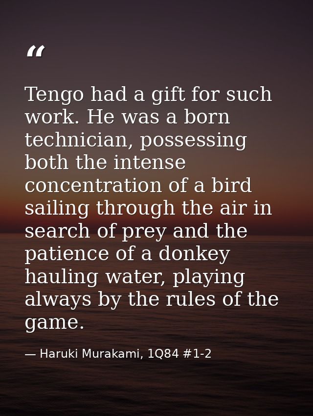Tengo had a gift for such work. He was a born technician, possessing both the intense concentration of a bird sailing th — Haruki Murakami, 1Q84 #1-2
