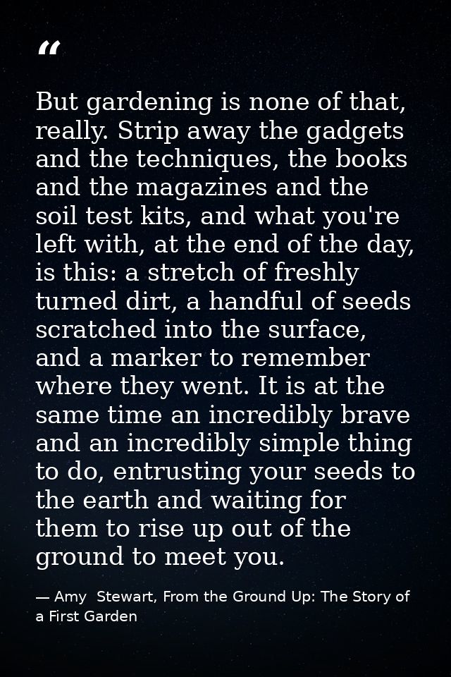 But gardening is none of that, really. Strip away the gadgets and the techniques, the books and the magazines and the so — Amy  Stewart, From the Ground Up: The Story of a First Garden