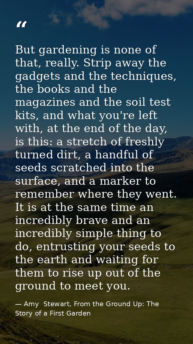 But gardening is none of that, really. Strip away the gadgets and the techniques, the books and the magazines and the so — Amy  Stewart, From the Ground Up: The Story of a First Garden