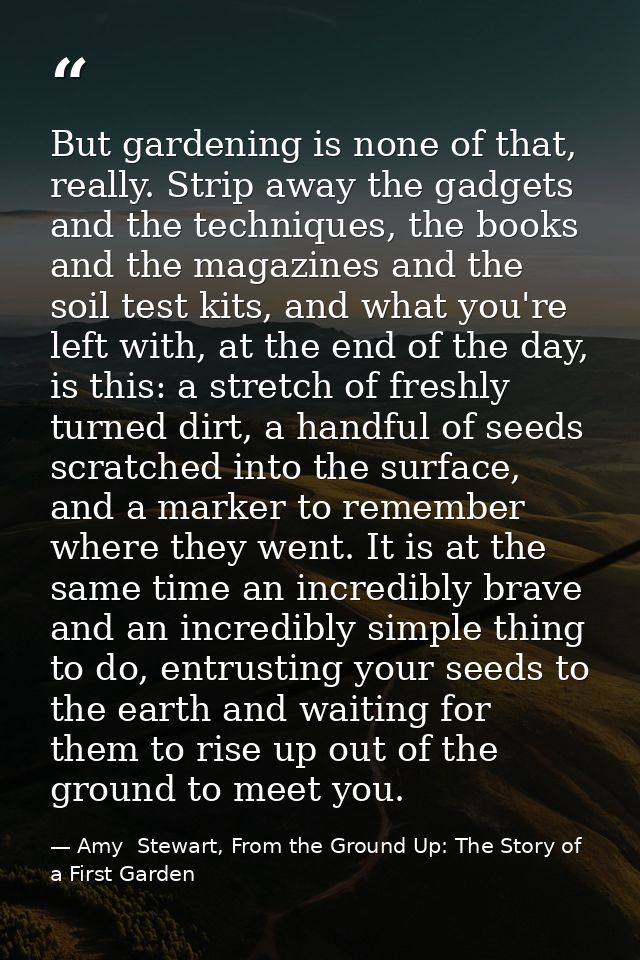 But gardening is none of that, really. Strip away the gadgets and the techniques, the books and the magazines and the so — Amy  Stewart, From the Ground Up: The Story of a First Garden