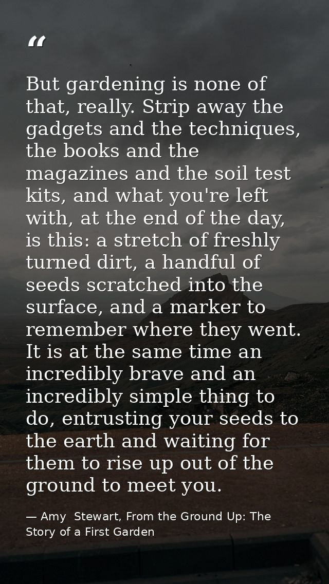 But gardening is none of that, really. Strip away the gadgets and the techniques, the books and the magazines and the so — Amy  Stewart, From the Ground Up: The Story of a First Garden