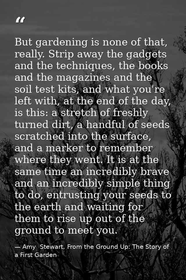 But gardening is none of that, really. Strip away the gadgets and the techniques, the books and the magazines and the so — Amy  Stewart, From the Ground Up: The Story of a First Garden