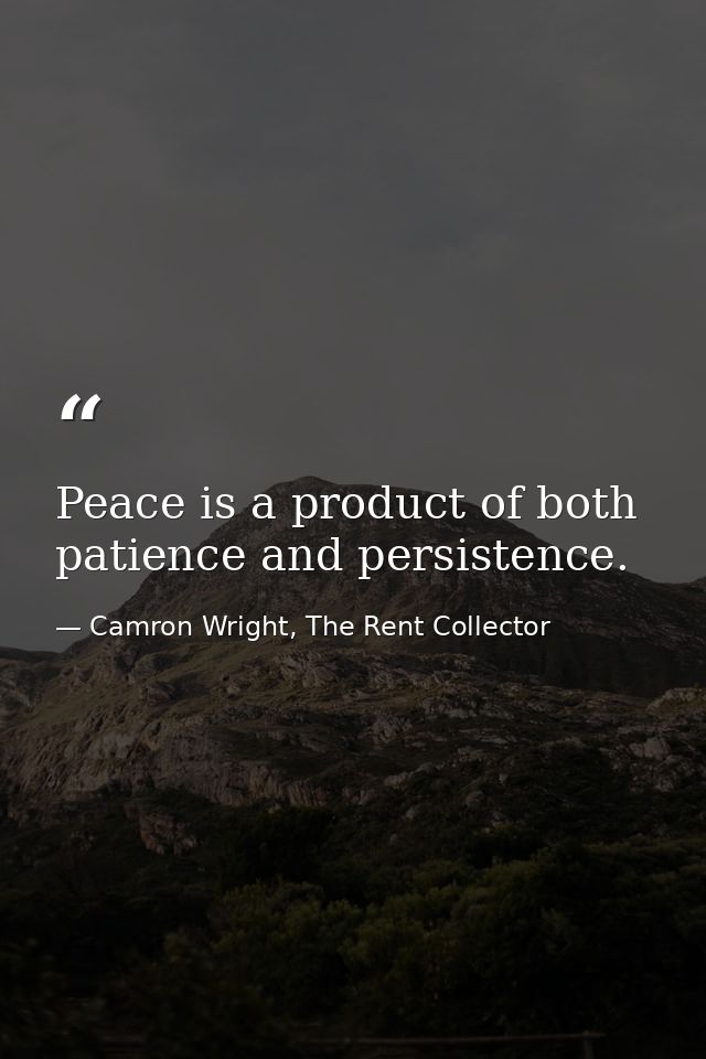 Peace is a product of both patience and persistence. — Camron Wright, The Rent Collector