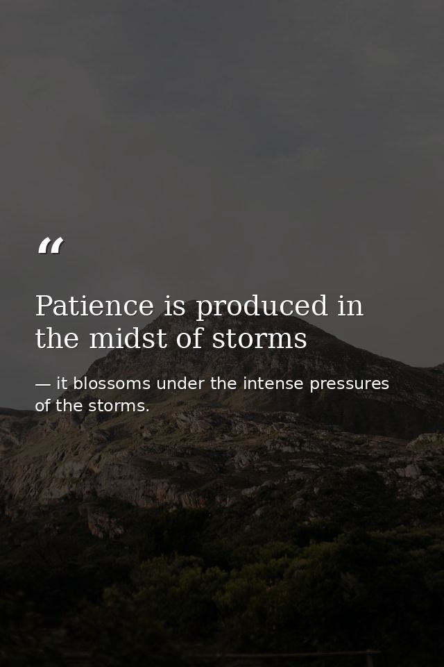 Patience is produced in the midst of storms — it blossoms under the intense pressures of the storms.