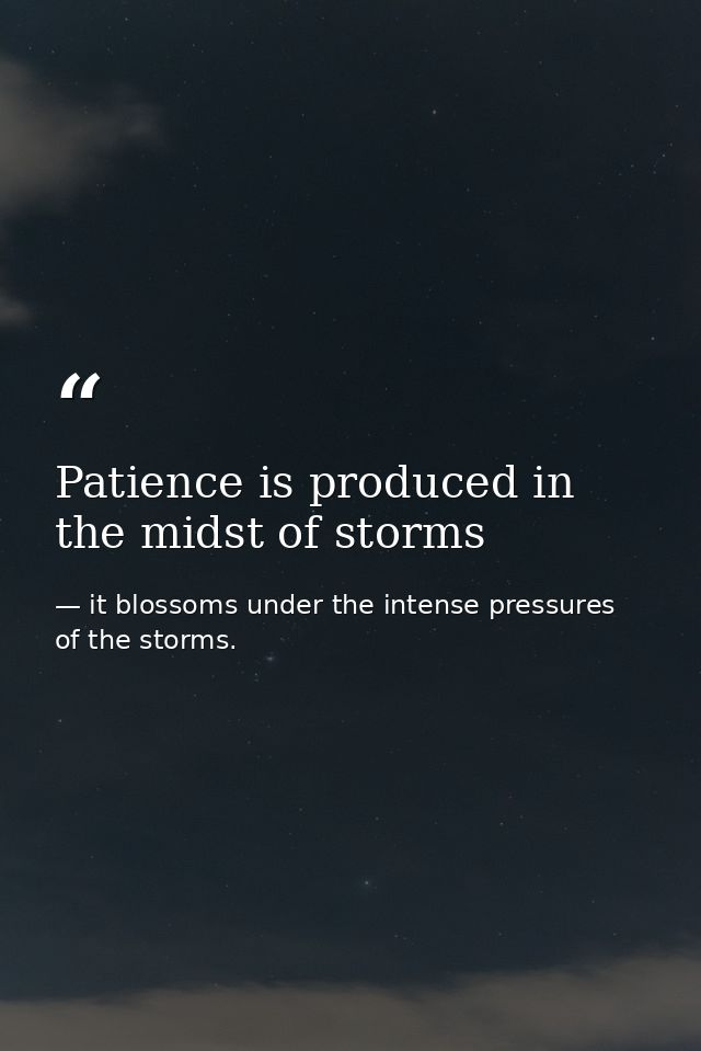 Patience is produced in the midst of storms — it blossoms under the intense pressures of the storms.