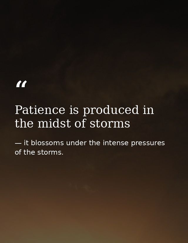 Patience is produced in the midst of storms — it blossoms under the intense pressures of the storms.