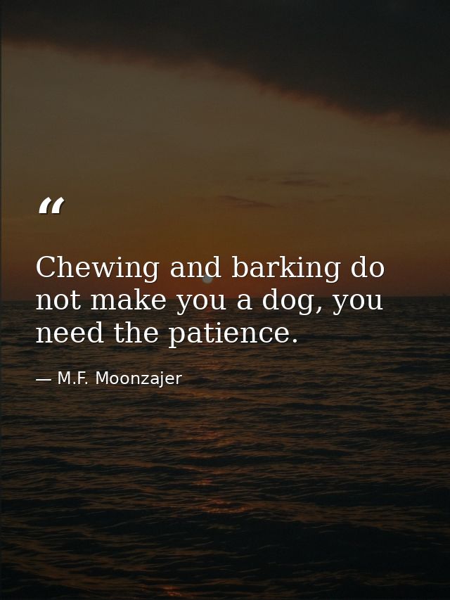 Chewing and barking do not make you a dog, you need the patience. — M.F. Moonzajer