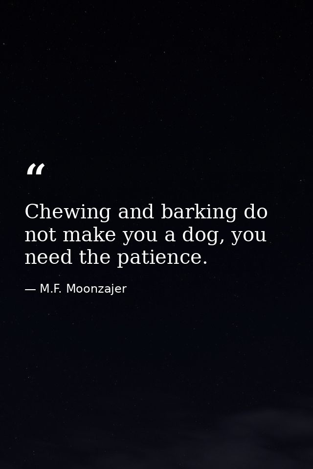 Chewing and barking do not make you a dog, you need the patience. — M.F. Moonzajer
