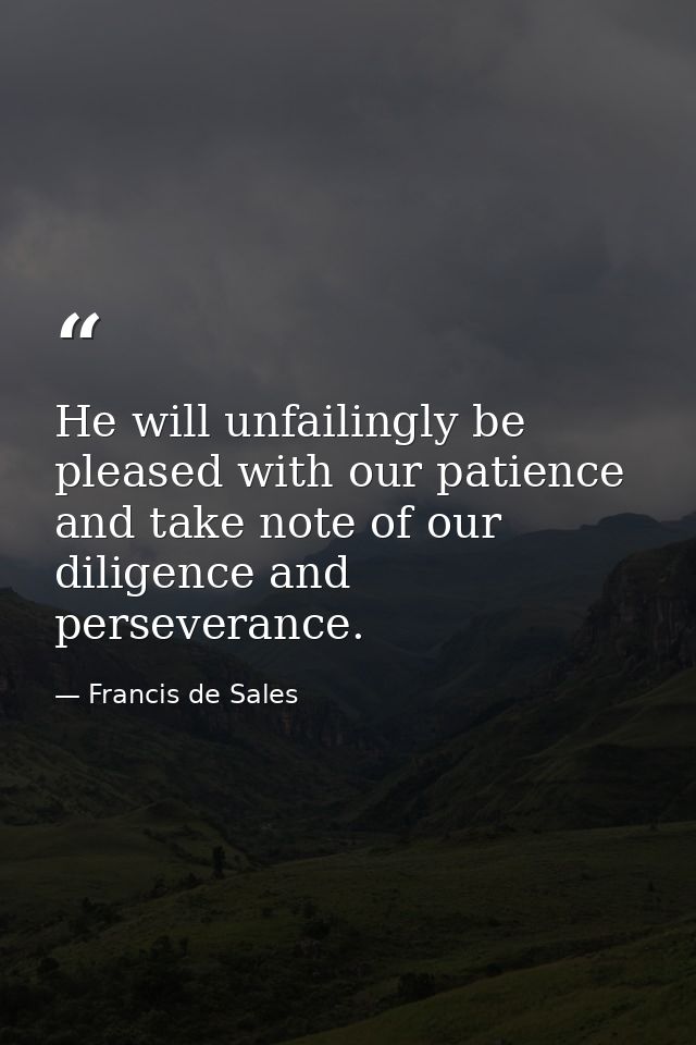 He will unfailingly be pleased with our patience and take note of our diligence and perseverance. — Francis de Sales