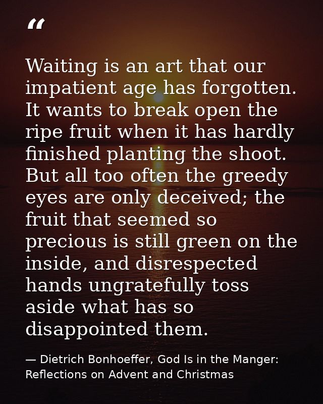 Waiting is an art that our impatient age has forgotten. It wants to break open the ripe fruit when it has hardly finishe — Dietrich Bonhoeffer, God Is in the Manger: Reflections on Advent and Christmas
