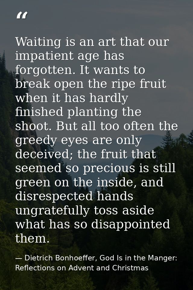 Waiting is an art that our impatient age has forgotten. It wants to break open the ripe fruit when it has hardly finishe — Dietrich Bonhoeffer, God Is in the Manger: Reflections on Advent and Christmas