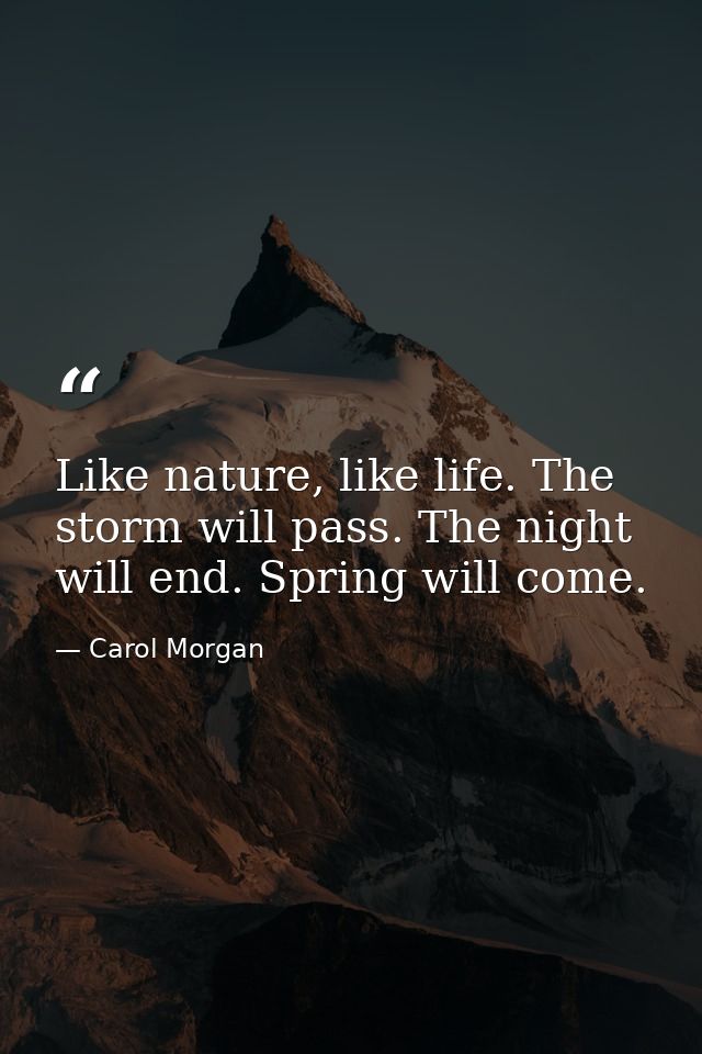 Like nature, like life. The storm will pass. The night will end. Spring will come. — Carol Morgan