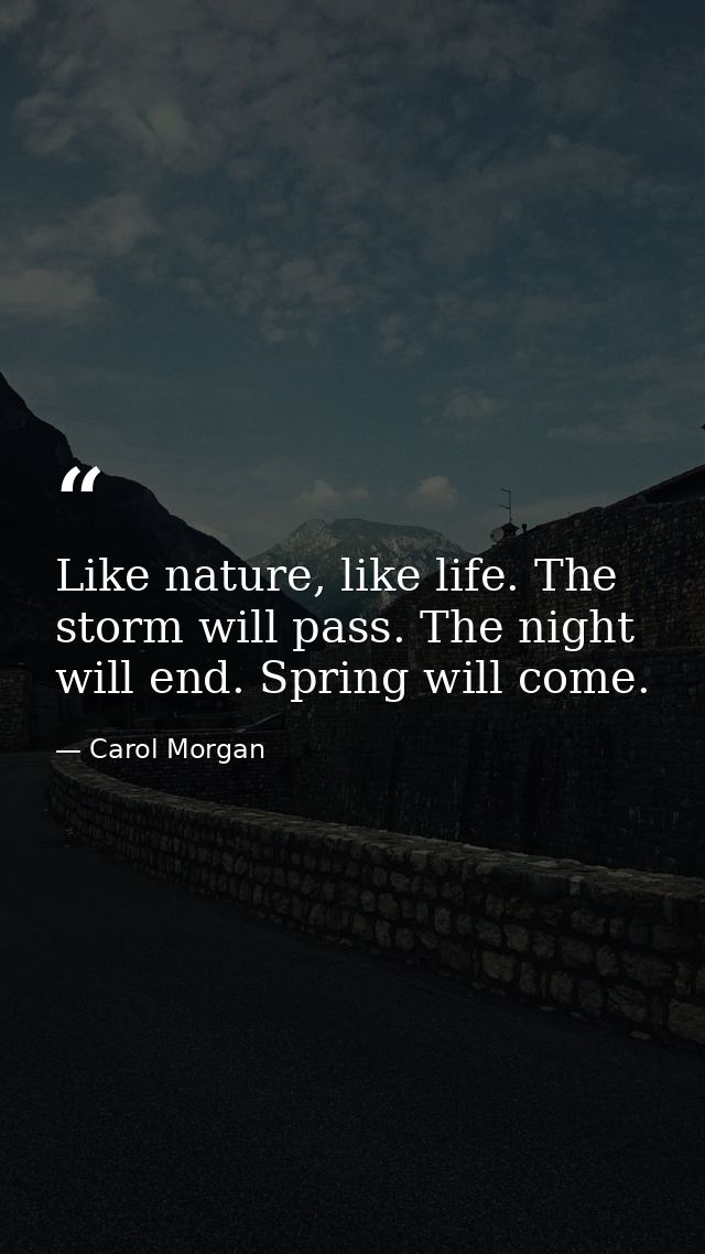 Like nature, like life. The storm will pass. The night will end. Spring will come. — Carol Morgan