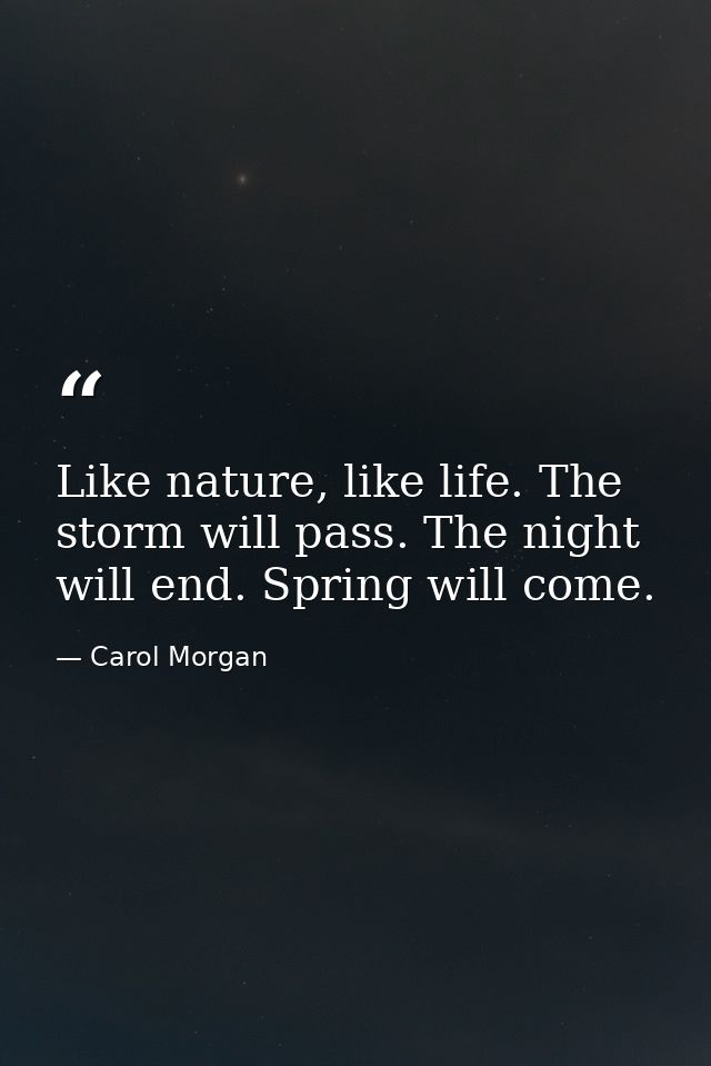 Like nature, like life. The storm will pass. The night will end. Spring will come. — Carol Morgan