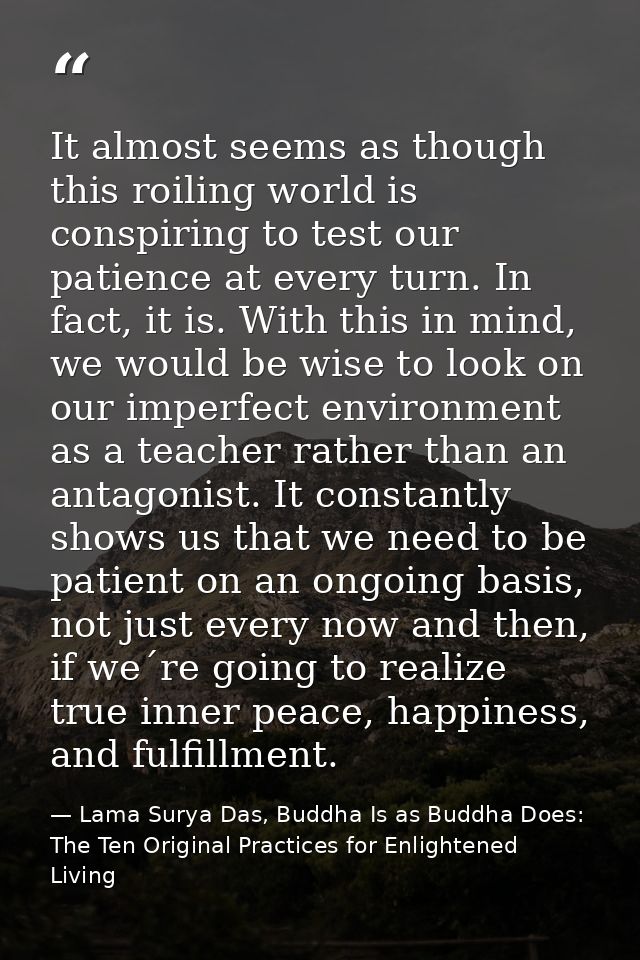 It almost seems as though this roiling world is conspiring to test our patience at every turn. In fact, it is. With this — Lama Surya Das, Buddha Is as Buddha Does: The Ten Original Practices for Enlightened Living