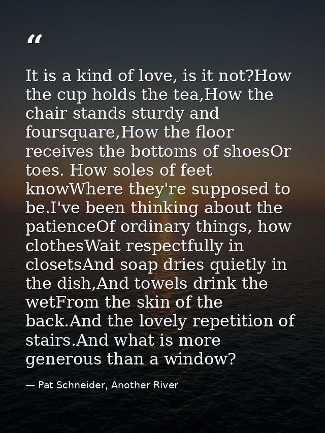 It is a kind of love, is it not?How the cup holds the tea,How the chair stands sturdy and foursquare,How the floor recei — Pat Schneider, Another River