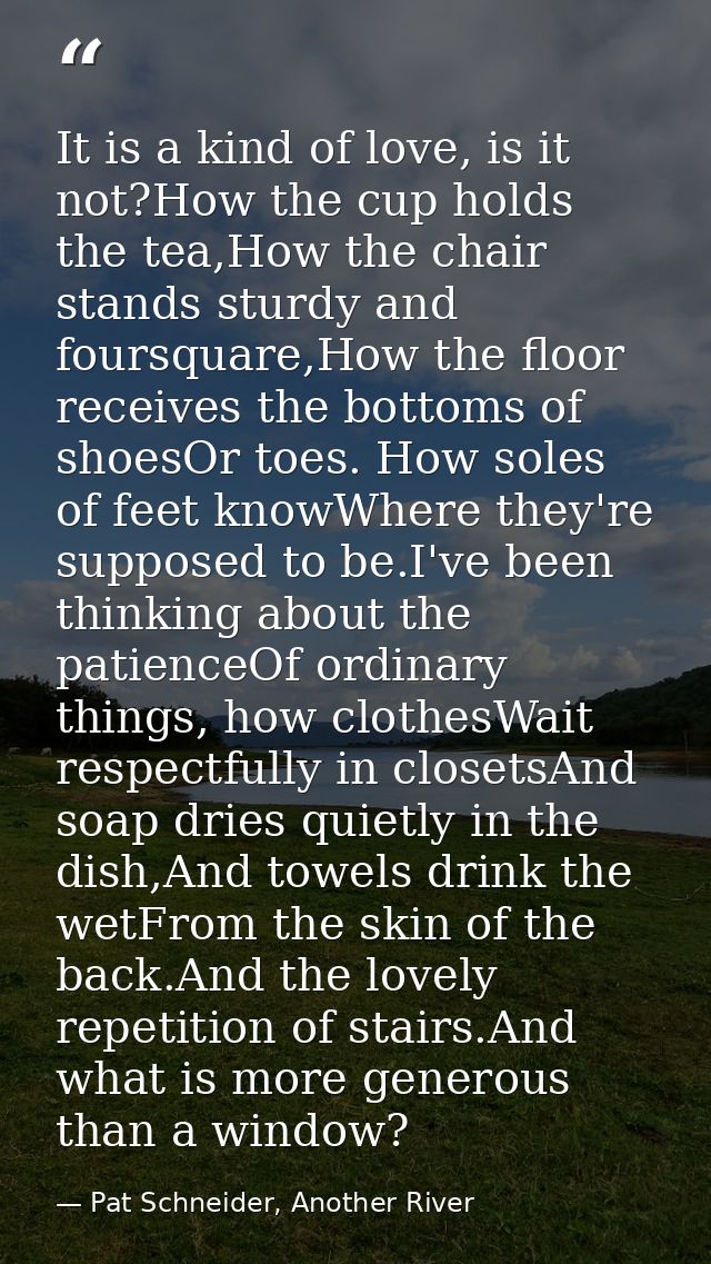 It is a kind of love, is it not?How the cup holds the tea,How the chair stands sturdy and foursquare,How the floor recei — Pat Schneider, Another River