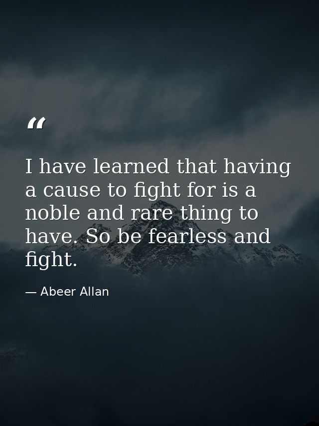 I have learned that having a cause to fight for is a noble and rare thing to have. So be fearless and fight. — Abeer Allan