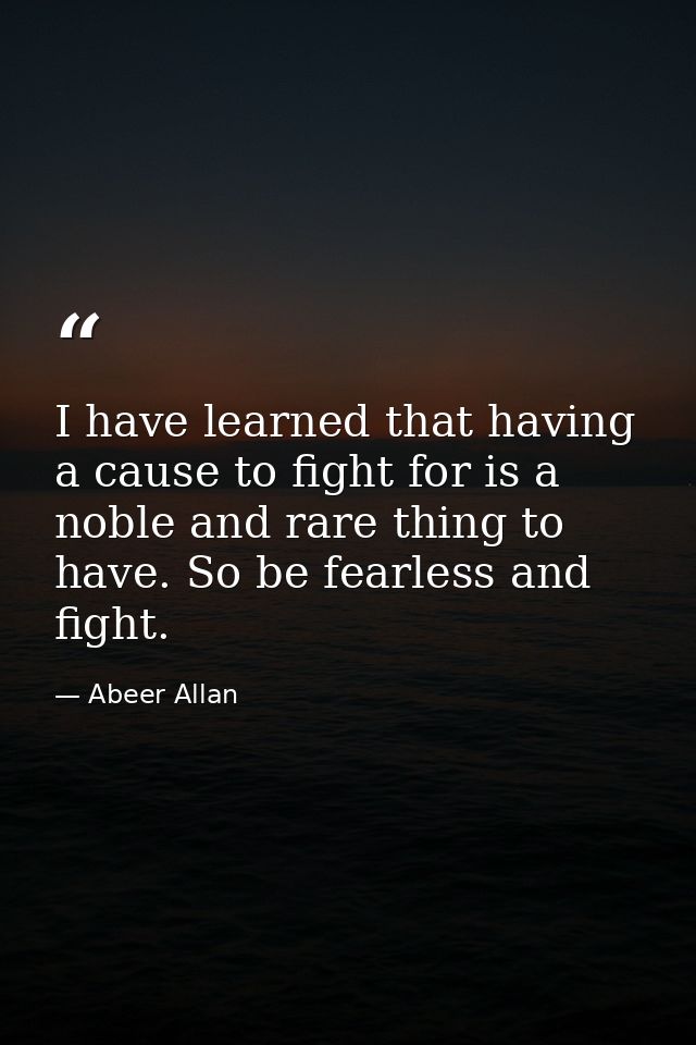 I have learned that having a cause to fight for is a noble and rare thing to have. So be fearless and fight. — Abeer Allan