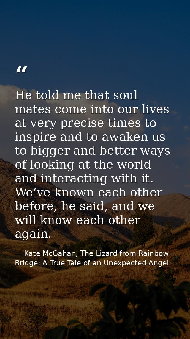 He told me that soul mates come into our lives at very precise times to inspire and to awaken us to bigger and better wa — Kate McGahan, The Lizard from Rainbow Bridge: A True Tale of an Unexpected Angel