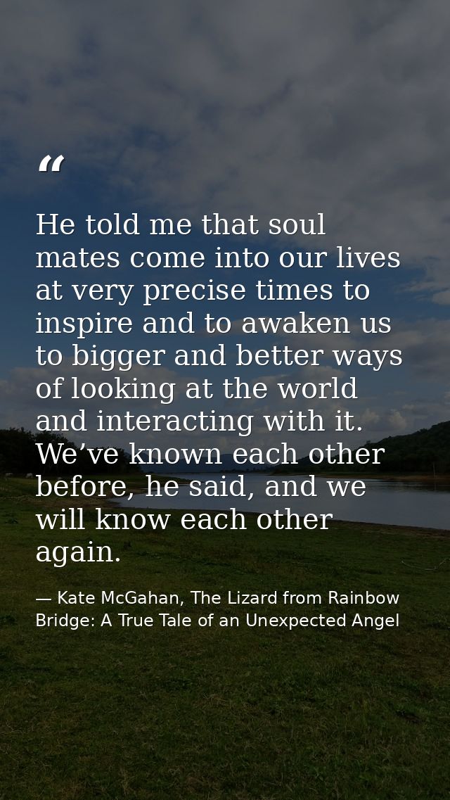 He told me that soul mates come into our lives at very precise times to inspire and to awaken us to bigger and better wa — Kate McGahan, The Lizard from Rainbow Bridge: A True Tale of an Unexpected Angel