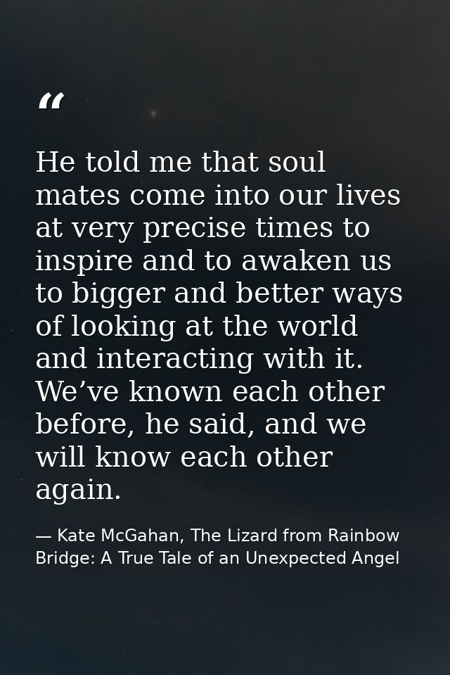 He told me that soul mates come into our lives at very precise times to inspire and to awaken us to bigger and better wa — Kate McGahan, The Lizard from Rainbow Bridge: A True Tale of an Unexpected Angel