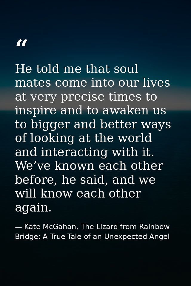 He told me that soul mates come into our lives at very precise times to inspire and to awaken us to bigger and better wa — Kate McGahan, The Lizard from Rainbow Bridge: A True Tale of an Unexpected Angel