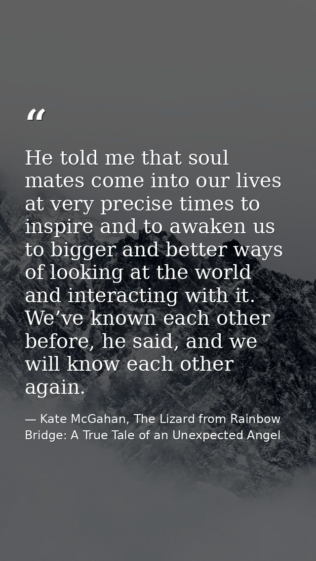 He told me that soul mates come into our lives at very precise times to inspire and to awaken us to bigger and better wa — Kate McGahan, The Lizard from Rainbow Bridge: A True Tale of an Unexpected Angel
