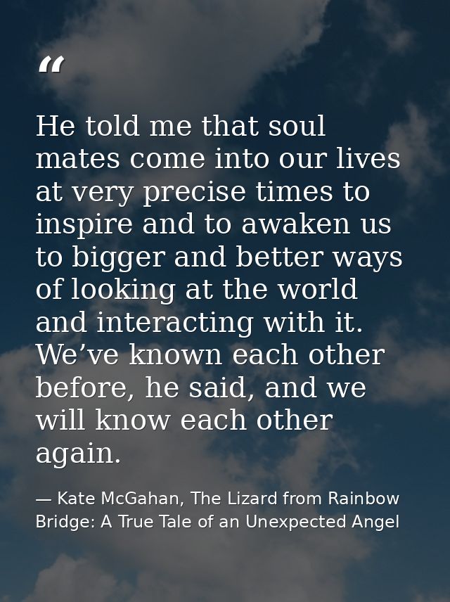 He told me that soul mates come into our lives at very precise times to inspire and to awaken us to bigger and better wa — Kate McGahan, The Lizard from Rainbow Bridge: A True Tale of an Unexpected Angel